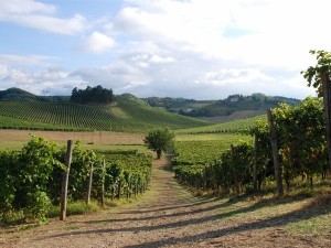 Gavi-Piemonte-vini_600x450